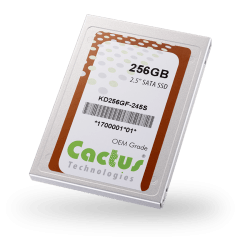 Cactus Technologies SATA III SSD